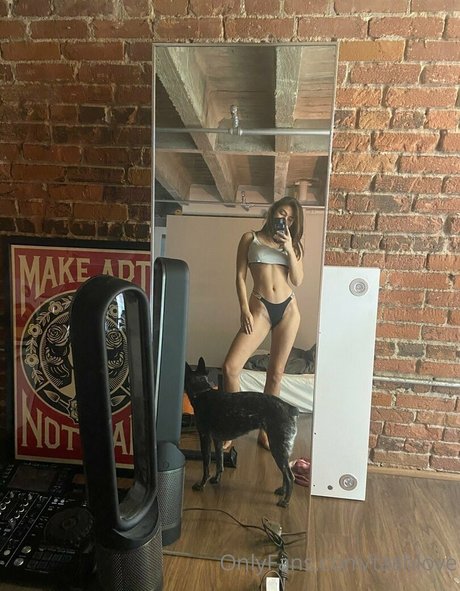 Tashlove