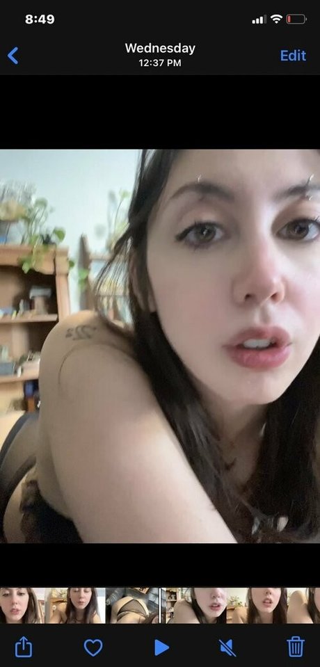 Dysphorickitten