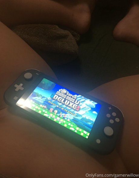 Gamerwillow