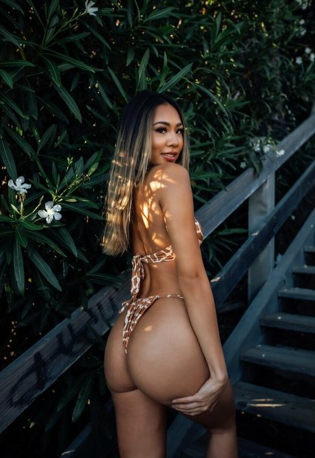 Elizaachar