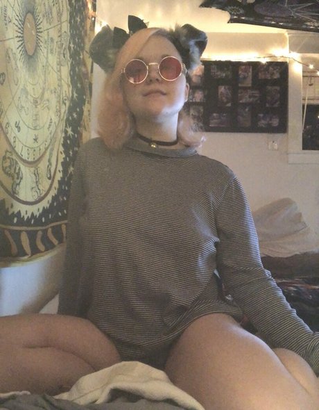 Pwuppydove