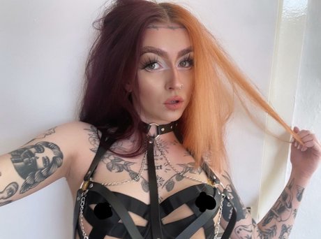 Xonicolavictoria