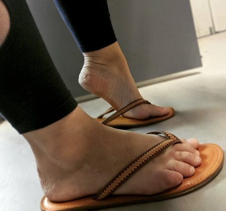 Heidiguns