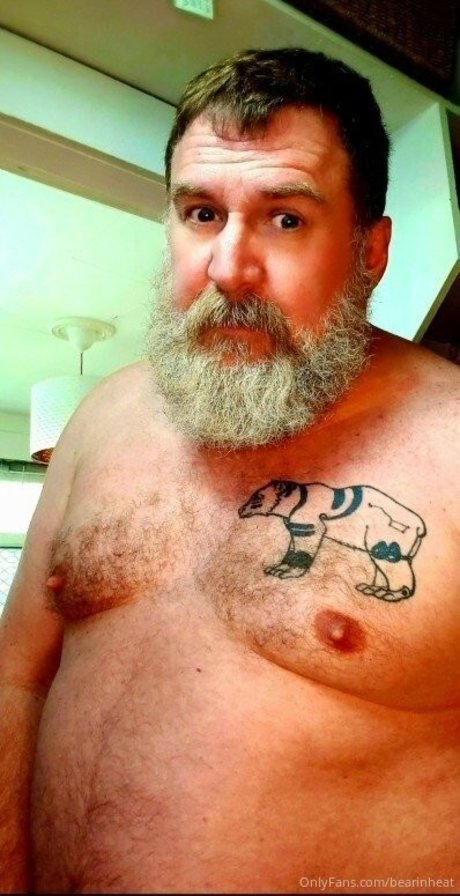 Bearinheat