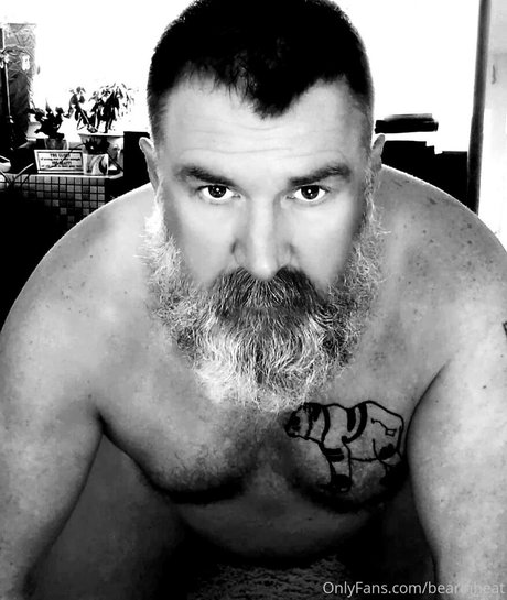 Bearinheat